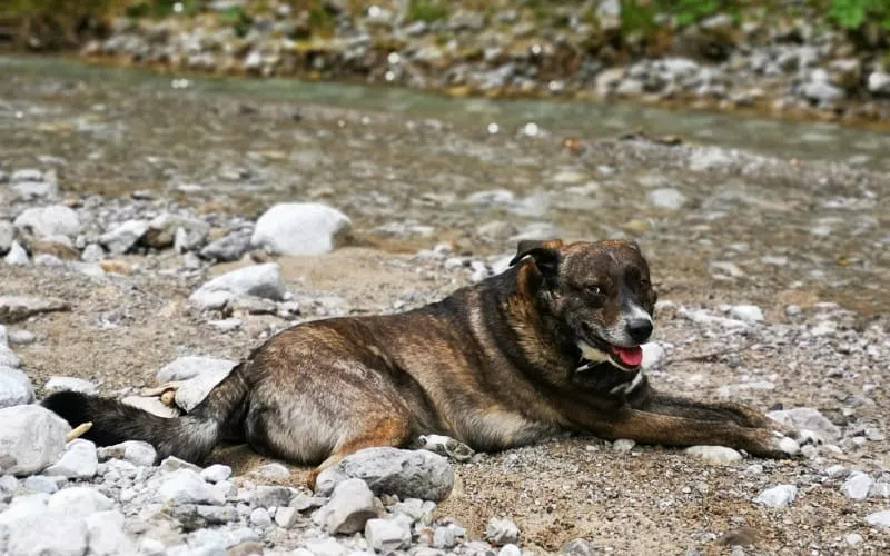50271190906_67bc2c7f35_o.jpg