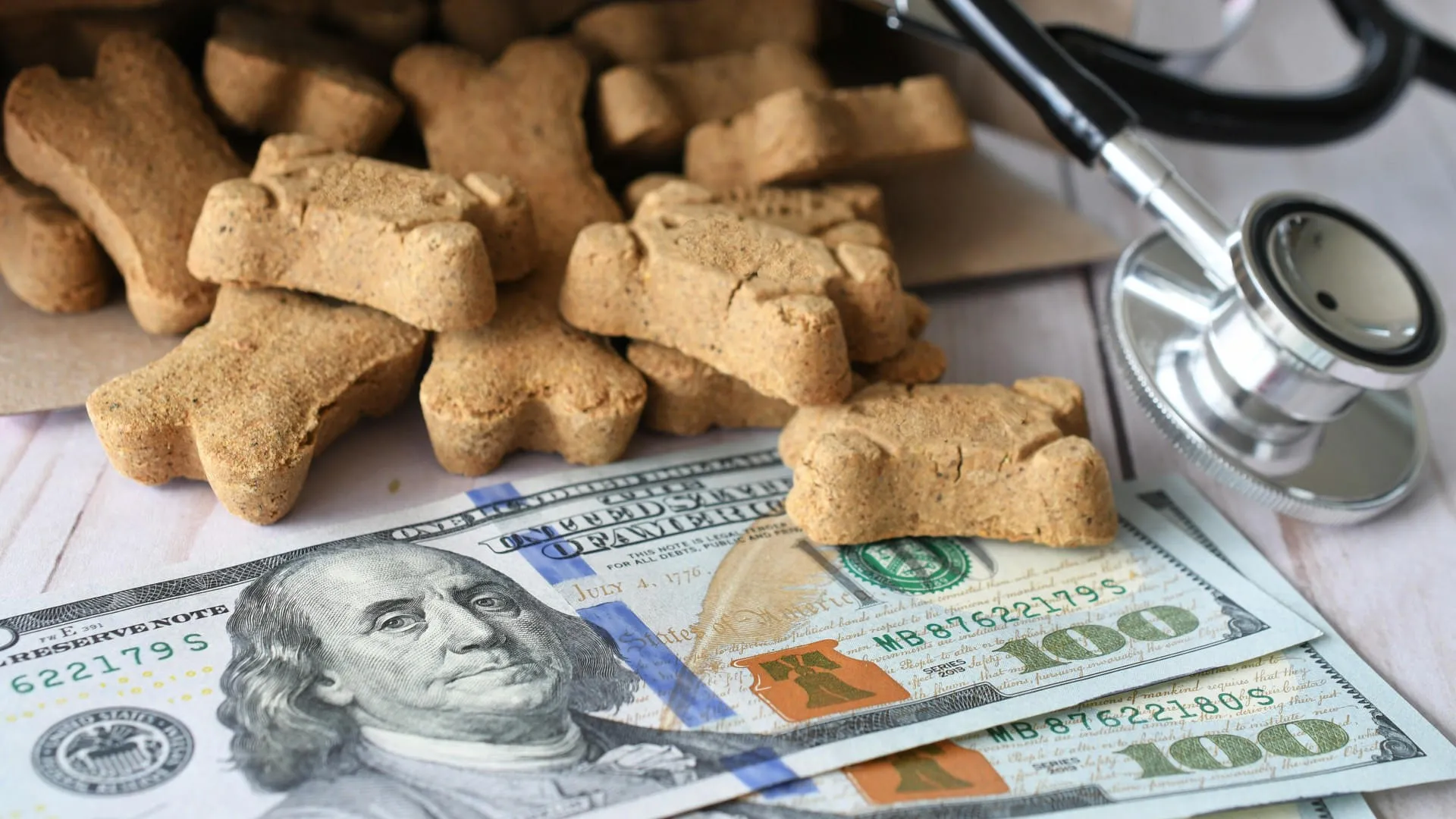 cost-of-taking-care-of-pets-cats-dogs-animals-vet-2023-11-27-05-26-36-utc